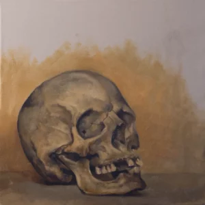 Ritratto di teschio dal vero