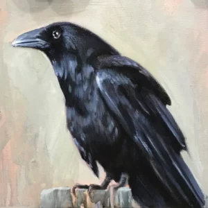 Corvo