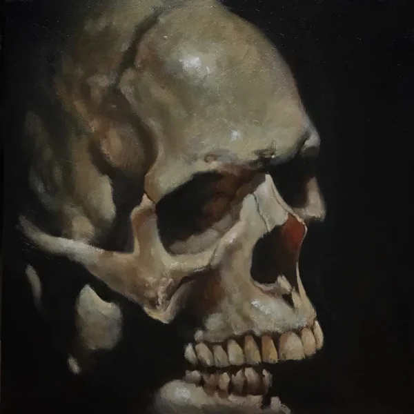 Skull 8