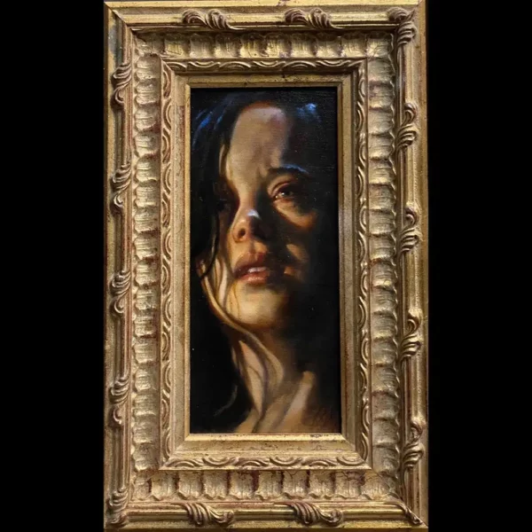 Luce ritratta