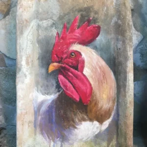 Gallo bianco