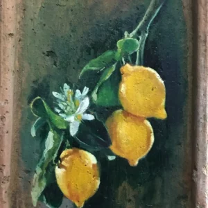 Limoni